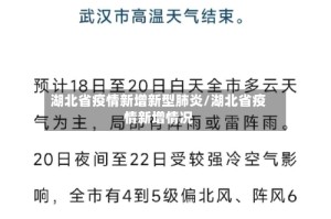 湖北省疫情新增新型肺炎/湖北省疫情新增情况