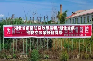 湖北省疫情防空政策最新/湖北省疫情防空政策最新消息