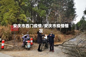 安庆市西门疫情/安庆市疫情情况