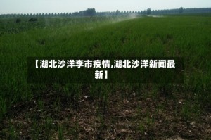【湖北沙洋李市疫情,湖北沙洋新闻最新】