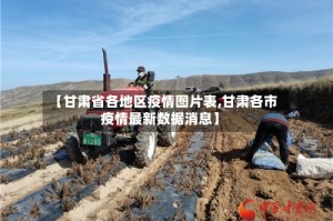 【甘肃省各地区疫情图片表,甘肃各市疫情最新数据消息】