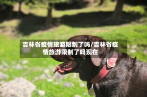 吉林省疫情旅游限制了吗/吉林省疫情旅游限制了吗现在