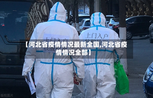 【河北省疫情情况最新全国,河北省疫情情况全部】-第3张图片