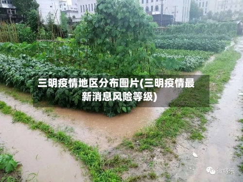 三明疫情地区分布图片(三明疫情最新消息风险等级)-第1张图片