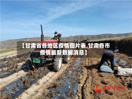 【甘肃省各地区疫情图片表,甘肃各市疫情最新数据消息】-第1张图片