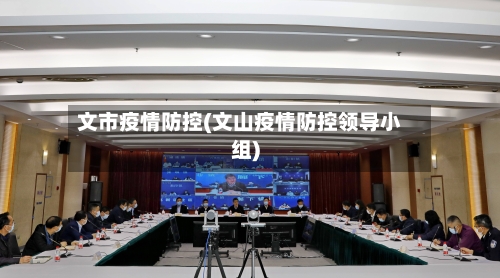 文市疫情防控(文山疫情防控领导小组)-第3张图片
