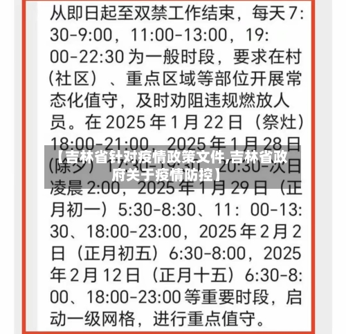 【吉林省针对疫情政策文件,吉林省政府关于疫情防控】-第3张图片