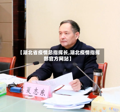 【湖北省疫情总指挥长,湖北疫情指挥部官方网站】-第2张图片