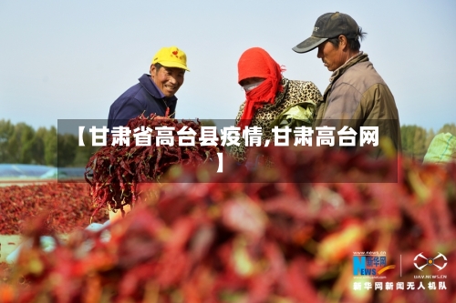 【甘肃省高台县疫情,甘肃高台网】-第1张图片