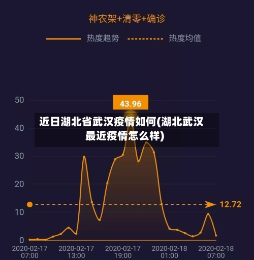 近日湖北省武汉疫情如何(湖北武汉最近疫情怎么样)-第2张图片