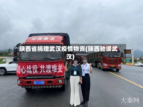 陕西省捐赠武汉疫情物资(陕西驰援武汉)-第1张图片