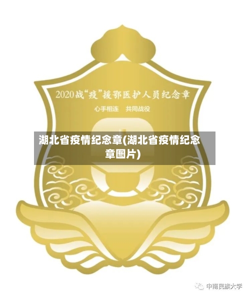 湖北省疫情纪念章(湖北省疫情纪念章图片)-第2张图片